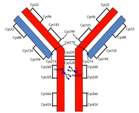 Ramucirumab antagonist for solide svulster